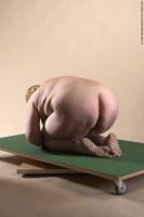 Photo Reference of jirina kneeling pose 26